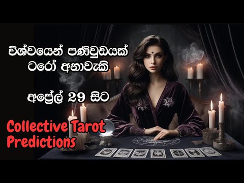 විශ්වයෙන් පණිවිඩයක් ✨ Sinhala Tarot predictions ✨ Timeless Reading 🔮