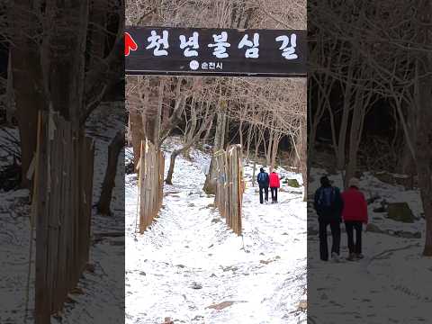 설경이 멋진 순천의 조계산 길목#힐링#행복#슈키의공방