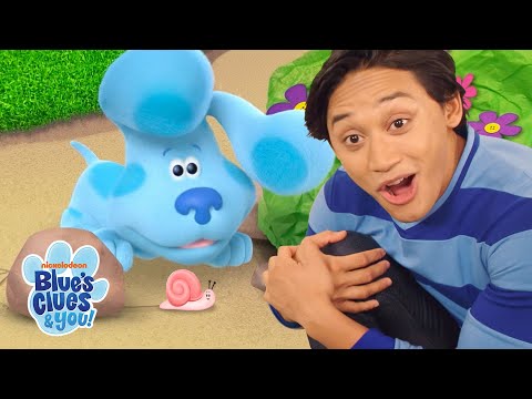 Play a Game of Hide and Seek w/ Blue & Josh 🙈 | Blue's Clues & You!