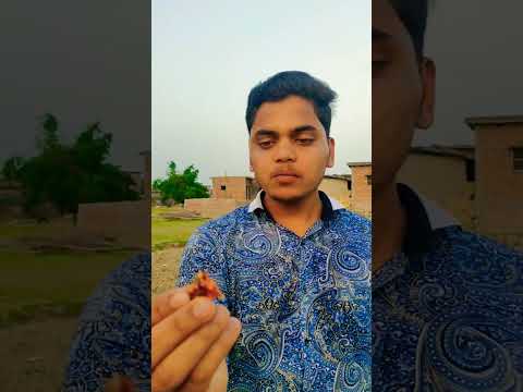 evening time nasta kar rahe h 😂#shortvideo #shorts #minivlog