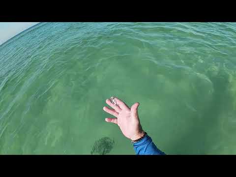 Metal Detecting Two Florida Beaches