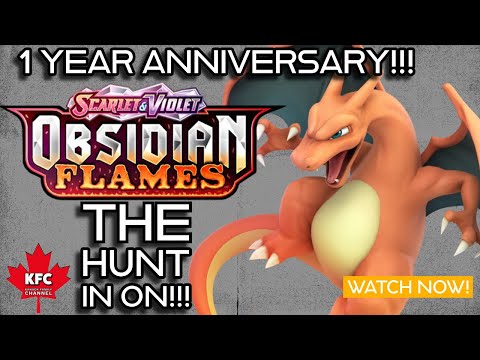 Pokemon Obsidian Flames Charizard Hunt for our 1st Anniversary