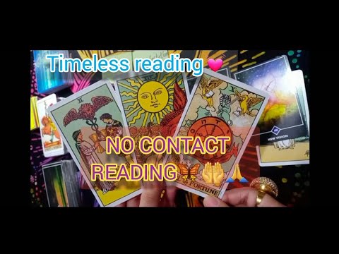 🦋NO CONTACT Reading: All signs..what are they feeling for you|timeless reading💗|hindi/urdu💜