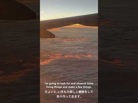 飛行機から見た夕焼け