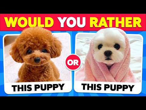 Would You Rather...? ANIMALS Edition 🐶😺 Quiz Blitz