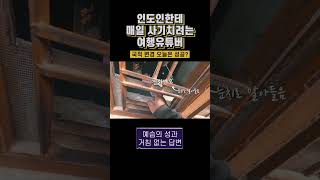 🇮🇳 국적 인도인이라고 맨날 뻥치고 다니는 여행유튜버