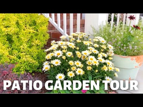 Patio garden tour