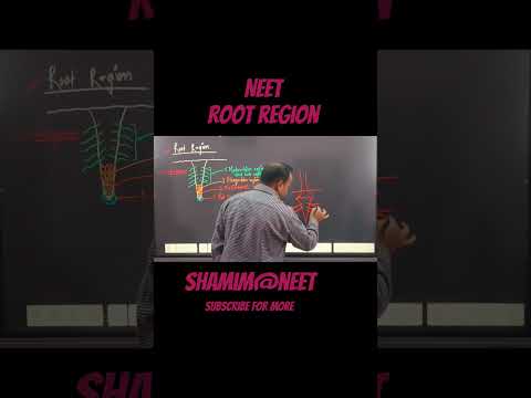 Root region#shortsfeed#shortfeeds#short