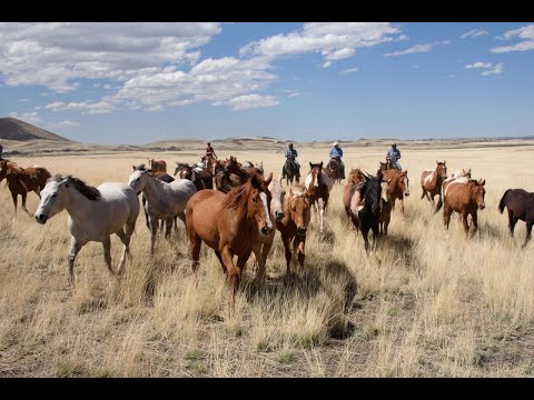 Weekend TV Worth Watching! A New Award for Today's Wild West - The Will Rogers Medallion Award!