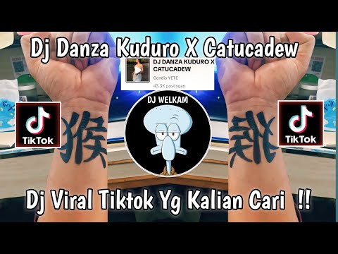 DJ DANZA KUDURO X CATUCADEW || DJ VIRAL TIK TOK 2024 YANG KALIAN CARI !!