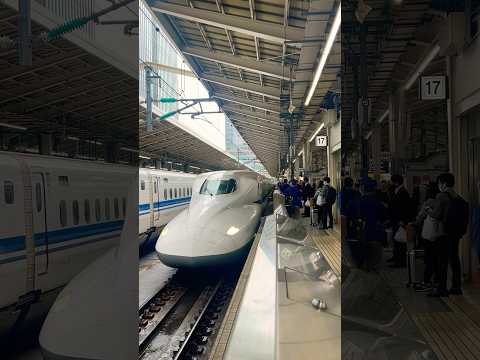 Bullet train making a swift stop  at  Tokyo Station before racing to the next destination #tokyo