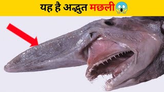 यह है अद्भुत मछली😱 | #shorts #newfactsvideohindi #ytshorts