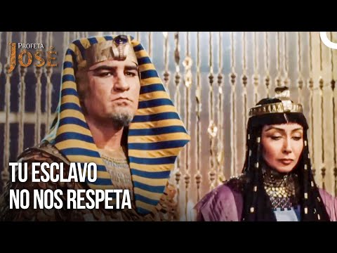 Han Decepcionado Al Templo | Diarios Del Palacio #13