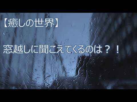 【癒しの世界】窓を伝うのは・・癒しの音？！