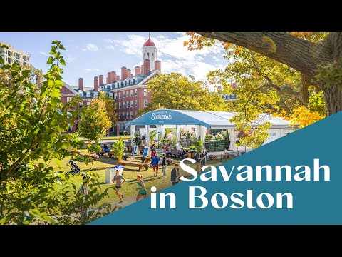 "Surprisingly Savannah" Pop-Up | Head of the Charles Regatta in Boston, MA