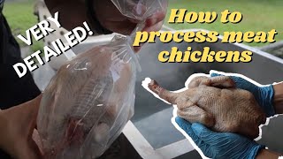 STEP BY STEP: BUTCHERING + PROCESSING MEAT CHICKENS! | The Galloway Farm