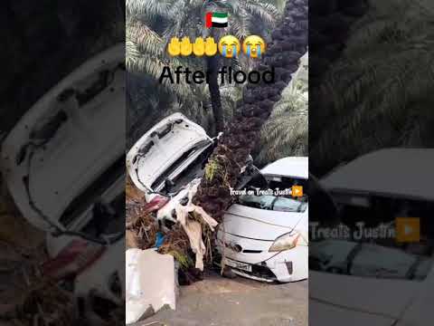 UAE flood effect 🇦🇪