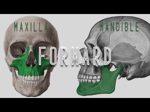 Forward Facial Growth & Wide Palate (Sub + Energy Charged)