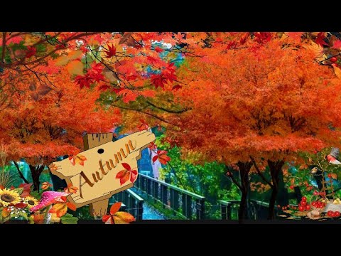 Autumn in Japan , beautiful autumn season in japan ,foliage season in japan