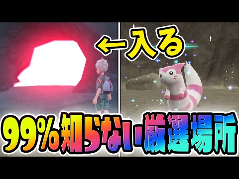 【必見】キタカミセンターの地下にある色違い厳選スポットを教えます！【ポケモンSVゼロの秘宝/碧の仮面】色違いオタチ/オオタチ