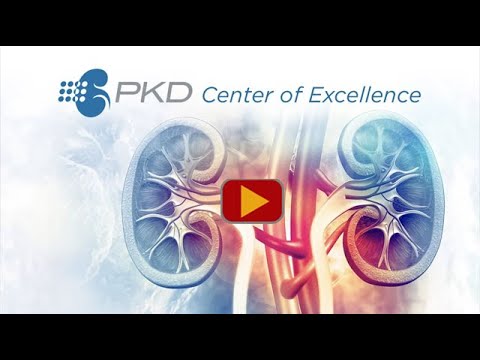 What Causes Polycystic Kidney Disease (PKD)?