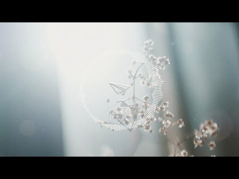 Daydream - Kei Morimoto (Official) 『フリーBGM』