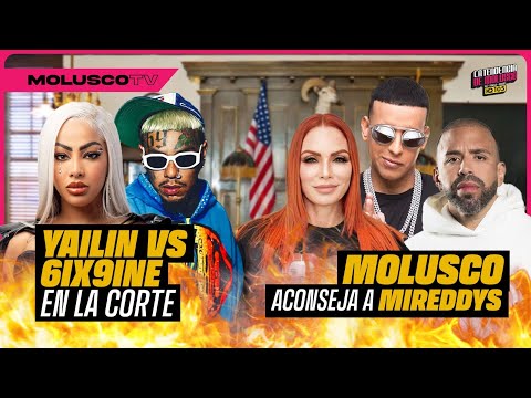 Tekashi vs Yailin: LA BATALLA FINAL/ Molusco aconseja a Myreddys por DY