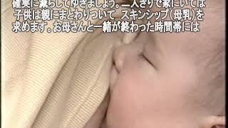 【卒乳・断乳の違い。卒乳の方法】