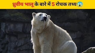 ध्रुवीय भालू के बारे में 5 रोचक तथ्य😱 | #shorts #newfactsvideohindi #ytshorts