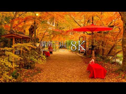 [Konan Sanzan] 3 spectacular views of Shiga that you should visit in autumn - JAPAN in 8K