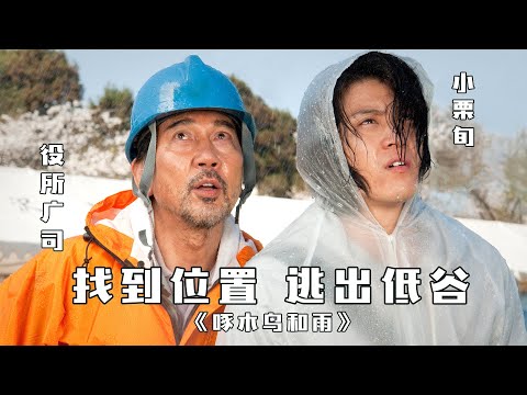 工作不顺，家人不解，该怎么办？适合低谷期看的轻喜剧 | 冲田修一《啄木鸟和雨》