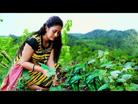 The story of mung bean | vegetarian dishes | මුං කතාව | Poorna - The nature girl |