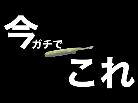 いま全国で1番釣れてるルアーこれです