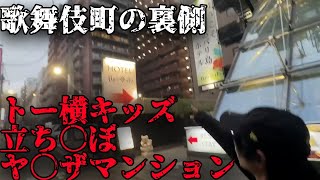 歌舞伎町にあるヤクザマンションに行ってみた　ジョーブログの部屋「切り抜き」