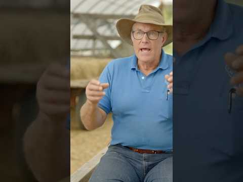 Joel Salatin’s personal Hügelkultur (Raised Bed) gardening techniques | Q&A with Joel Salatin #farm