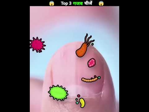 Top 3 गजब चीजें #viral #newfact #trendingshorts #amazing #trending #subscribe