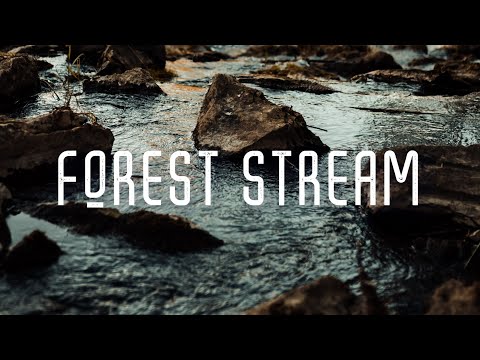 FOREST STREAM | 1 HOUR OF QUIET RIVER AMBIENCE FOR DEEP FOCUS, WORK AT HOME, STUDY, SLEEP, ASMR