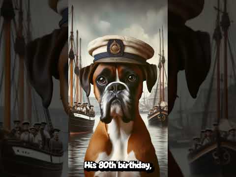 What does a pirate turning 80 say? #dogs #dogsofyoutube #dog #pet #jokes #funny  #puns