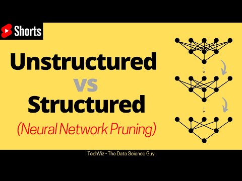 Unstructured vs Structured Pruning in Neural Networks #shorts