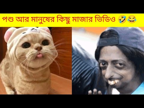 Bangla top funny moments||Try to lunch||TikTok video 2022#funnyvideo#mayajaal#usmarttiko#animalfunny