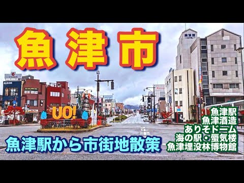 【富山県】魚津市街地散策、埋没林と美味い酒！かまぼこ！お土産散策