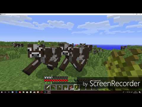 Minecraft 1.0 gameplay - parte #5