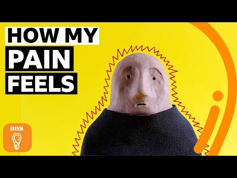 What's the point of pain? | BBC Ideas