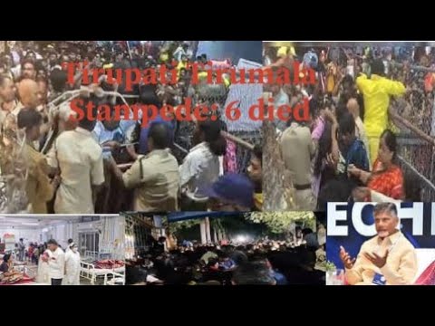 Tirumala Tirupati Stampede: 6 died, "Stampede Due To Sudden Rush At One Counter": Tirupati Collector