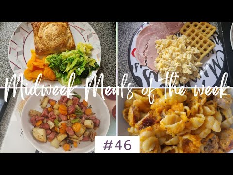 Meals of the week! | Midweek meals for my family | What we eat in a week #46 | What I feed my kids