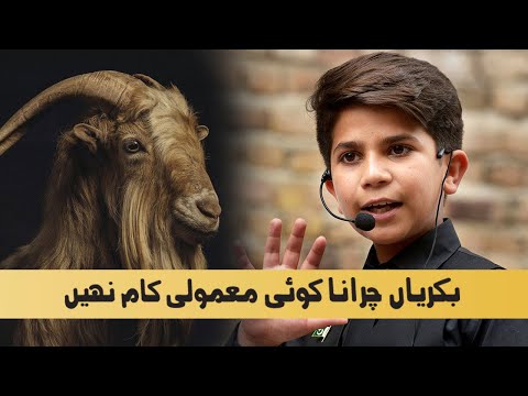 Bakriyan Charana Anbiya AS ki Sunnat | LIttle Professor Hammad Safi