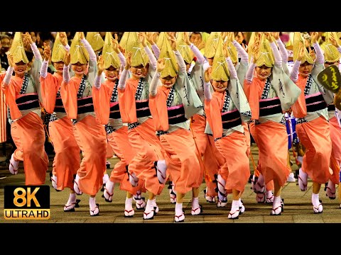 [Overwhelming collective beauty! ] Awa Odori of Uzukiren - Awaodori in 8K