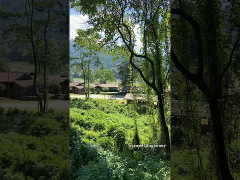 Trip to Arunachal Pradesh | Beautiful view of Arunachal Pradesh #travel #arunachal #nature #shorts