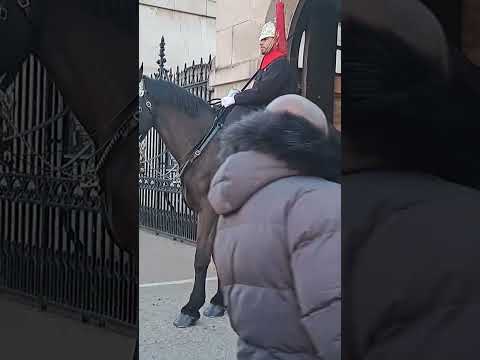 King's guards horses #king #guards #horse #london #ytshots #india @vichethediamonds#