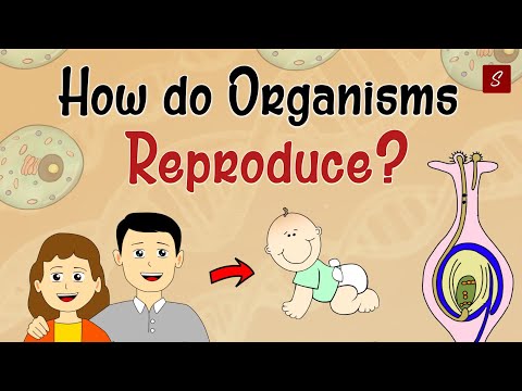 How Do Organism Reproduce Class 10 Full Chapter (Animation) | Class 10 Science Chapter 8 | CBSE